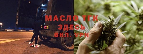тгк Дмитровск