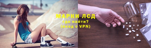 apvp Ельня