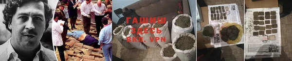 ПСИЛОЦИБИНОВЫЕ ГРИБЫ Дмитриев