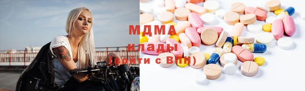 ПСИЛОЦИБИНОВЫЕ ГРИБЫ Дмитриев