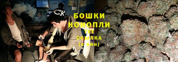 apvp Ельня