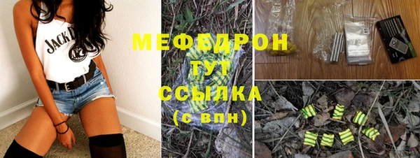 apvp Ельня