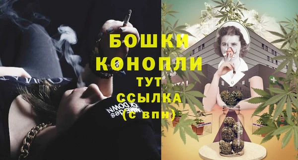 apvp Ельня
