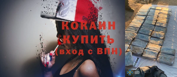 apvp Ельня