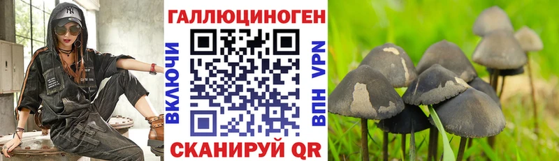 даркнет какой сайт Обь Галлюциногенные грибы Magic Shrooms