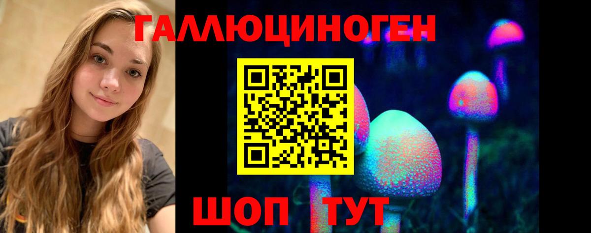 Галлюциногенные грибы Cubensis  Псилоцибиновые грибы мицелий  Вход с VPN  Обь 